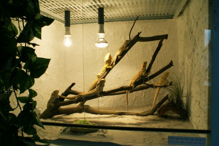 TERARIUM 110 X 110 X 80